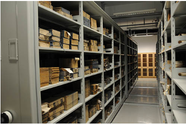 電動博物館標(biāo)本柜